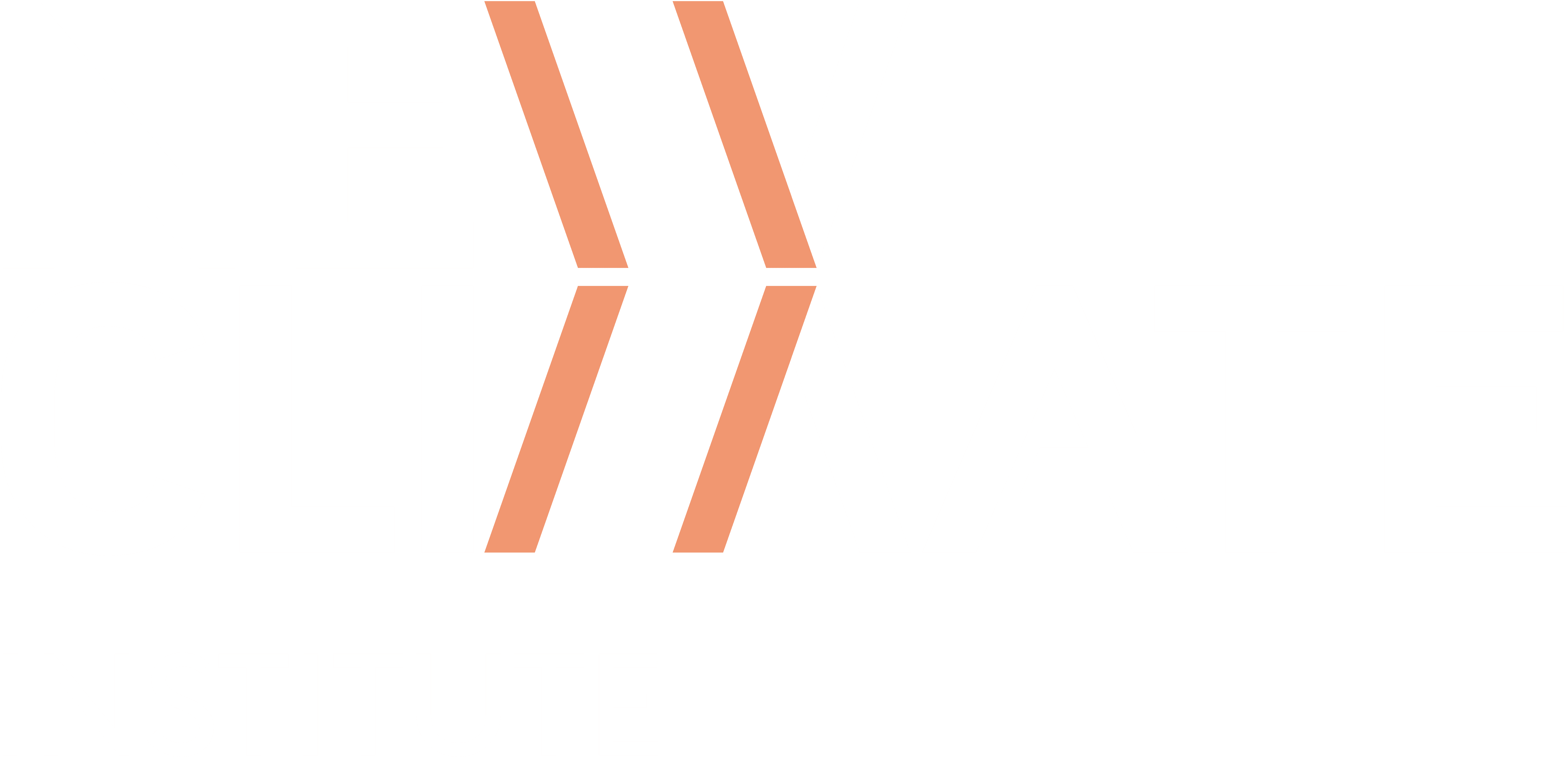 New Climate Institute logo