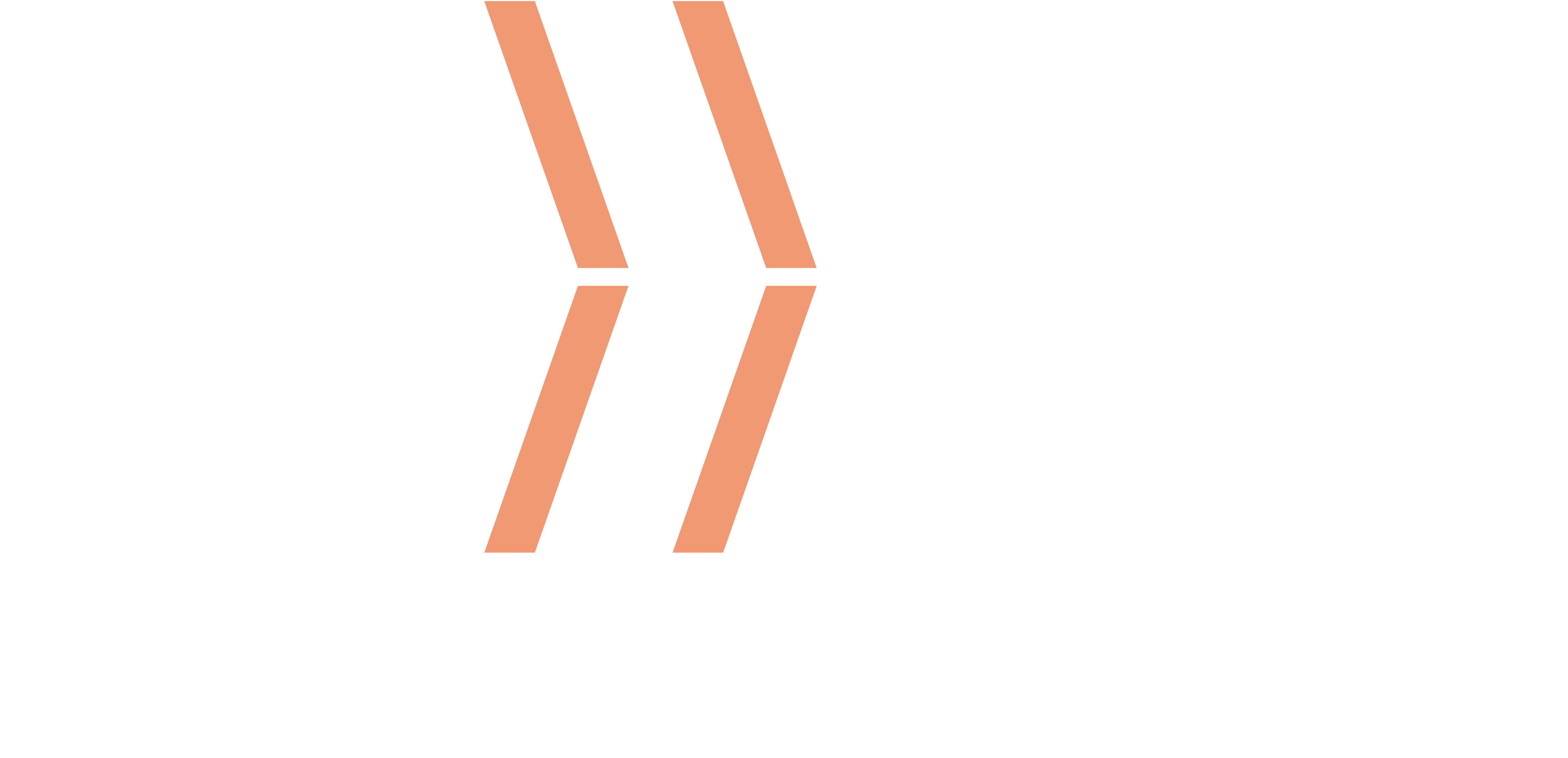 New Climate Institute logo
