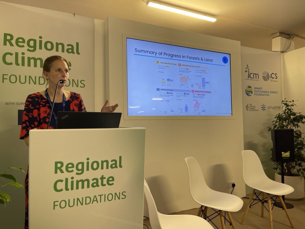 Kelly Levin presenting at COP28