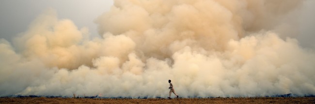 Crop burning as a traditional agricultural practice