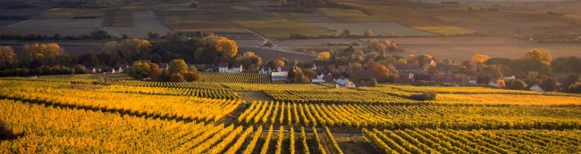 Agricultural field